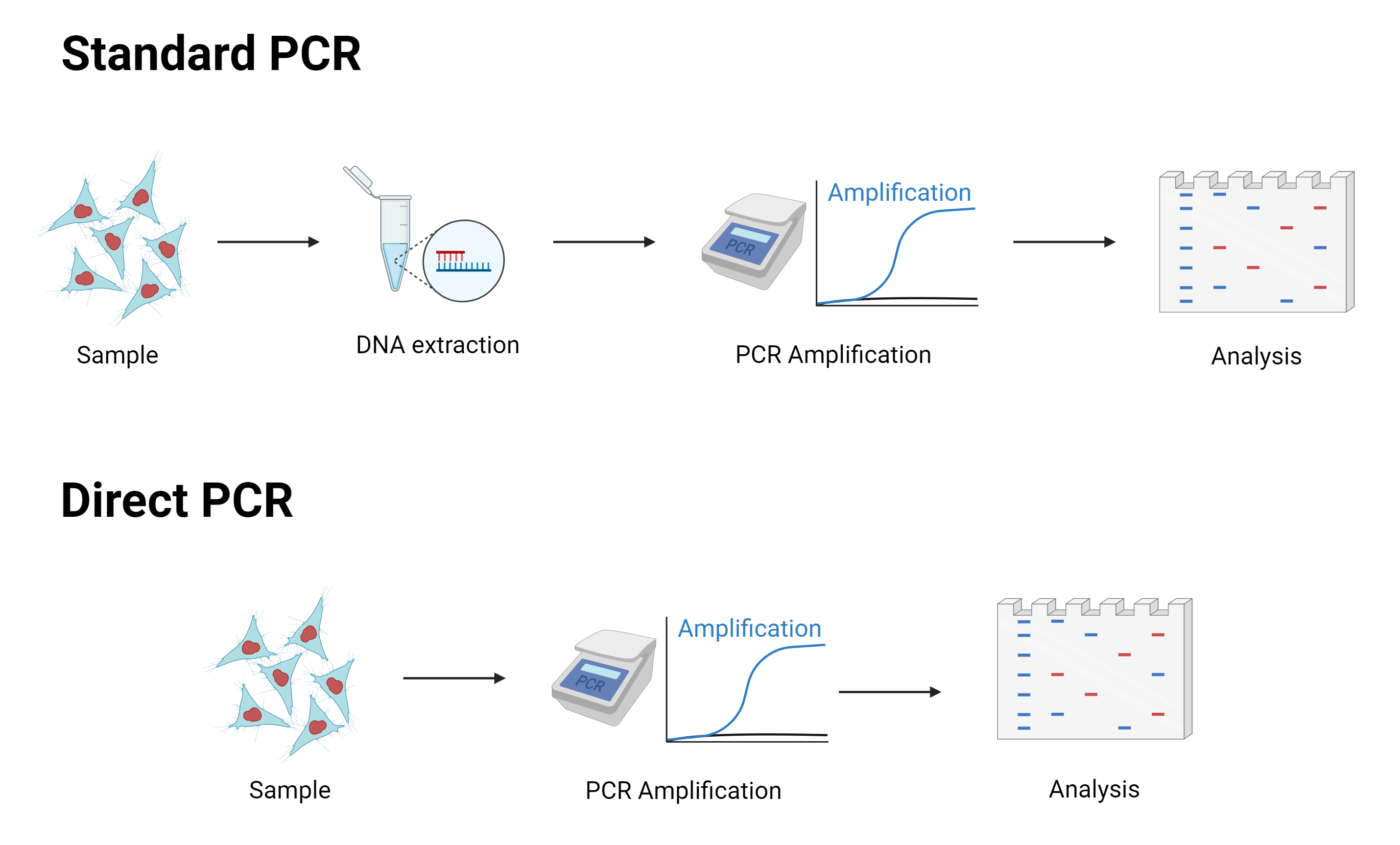 Standard vs. Direct PCR AAT Bioquest